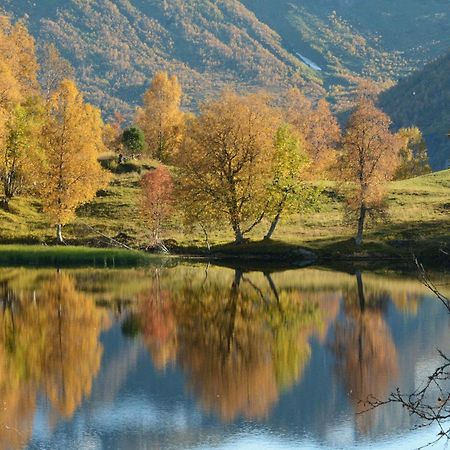 ホテル Tuftegarden Viksdalen エクステリア 写真