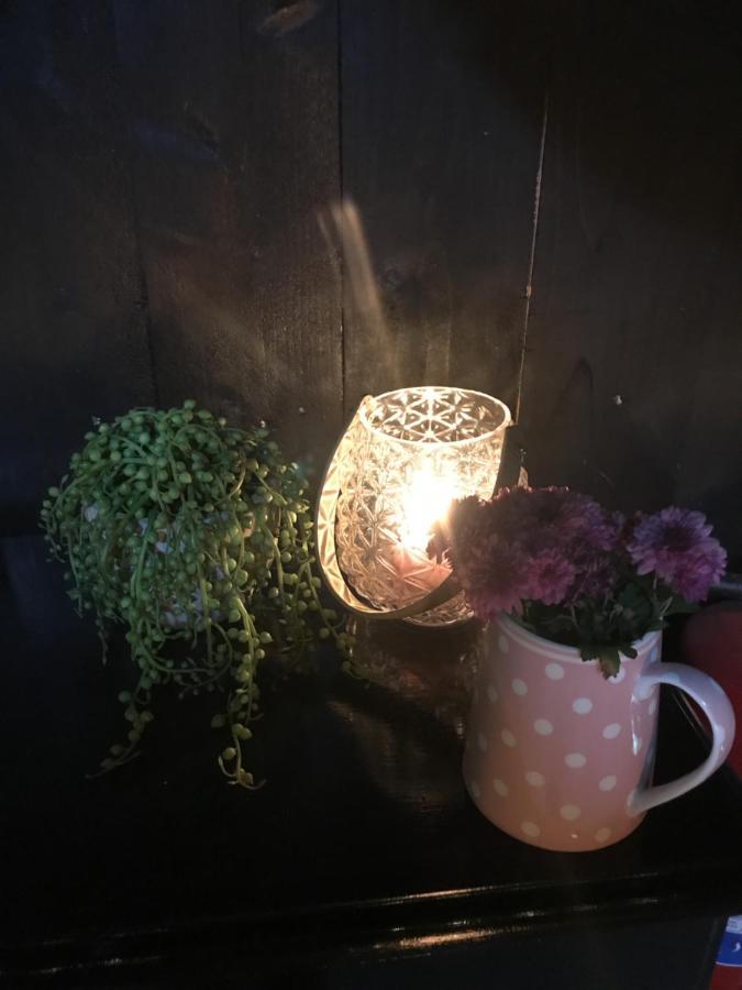 ホテル Tuftegarden Viksdalen エクステリア 写真