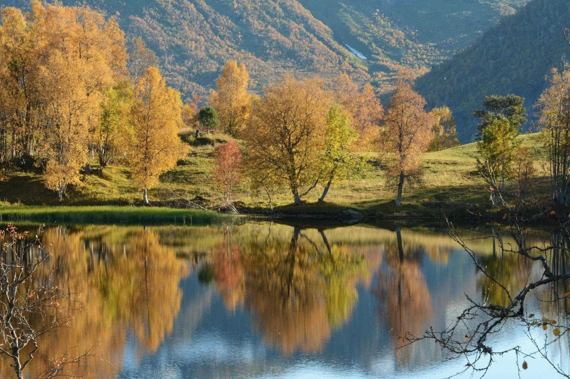 ホテル Tuftegarden Viksdalen エクステリア 写真