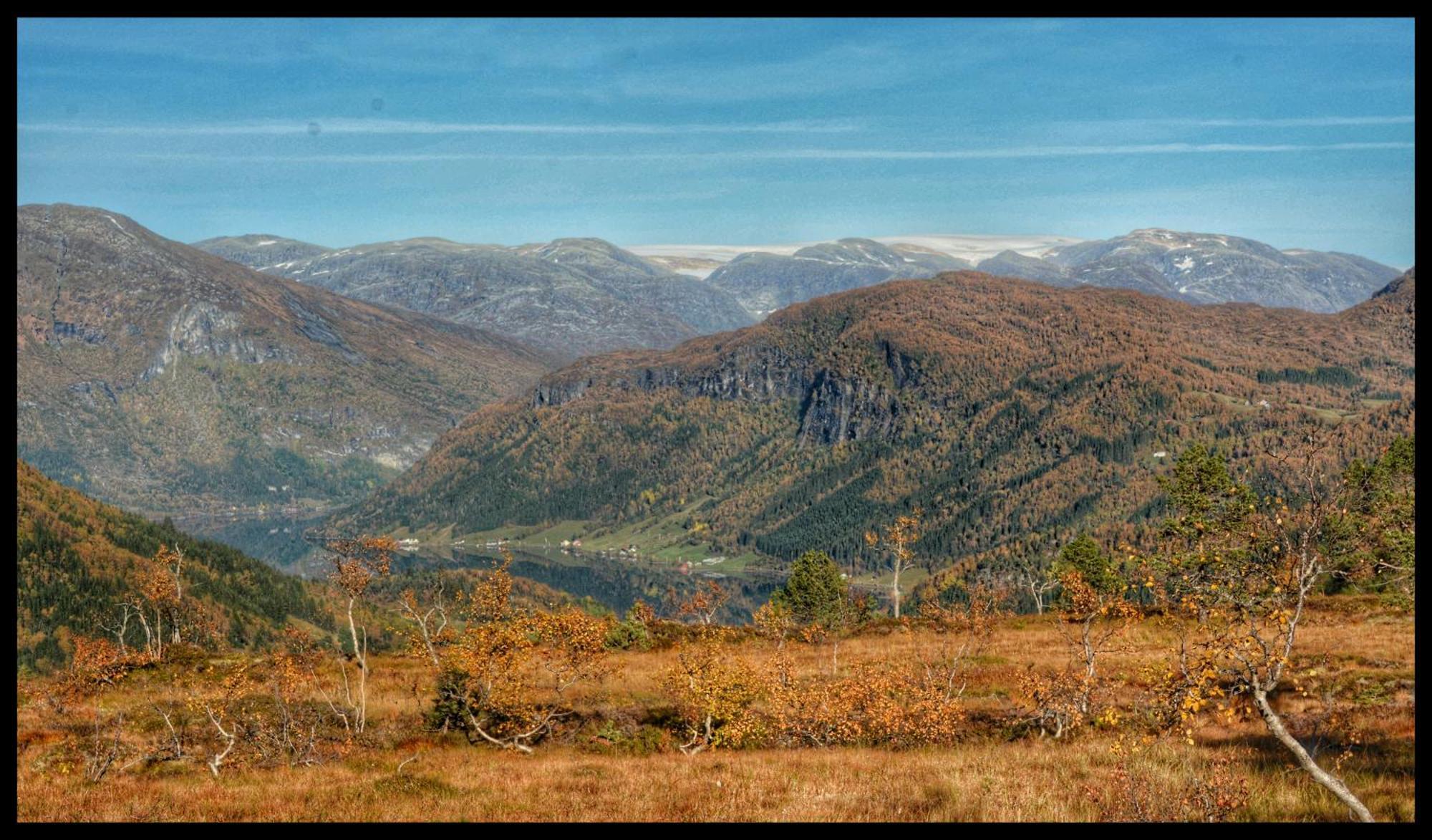 ホテル Tuftegarden Viksdalen エクステリア 写真