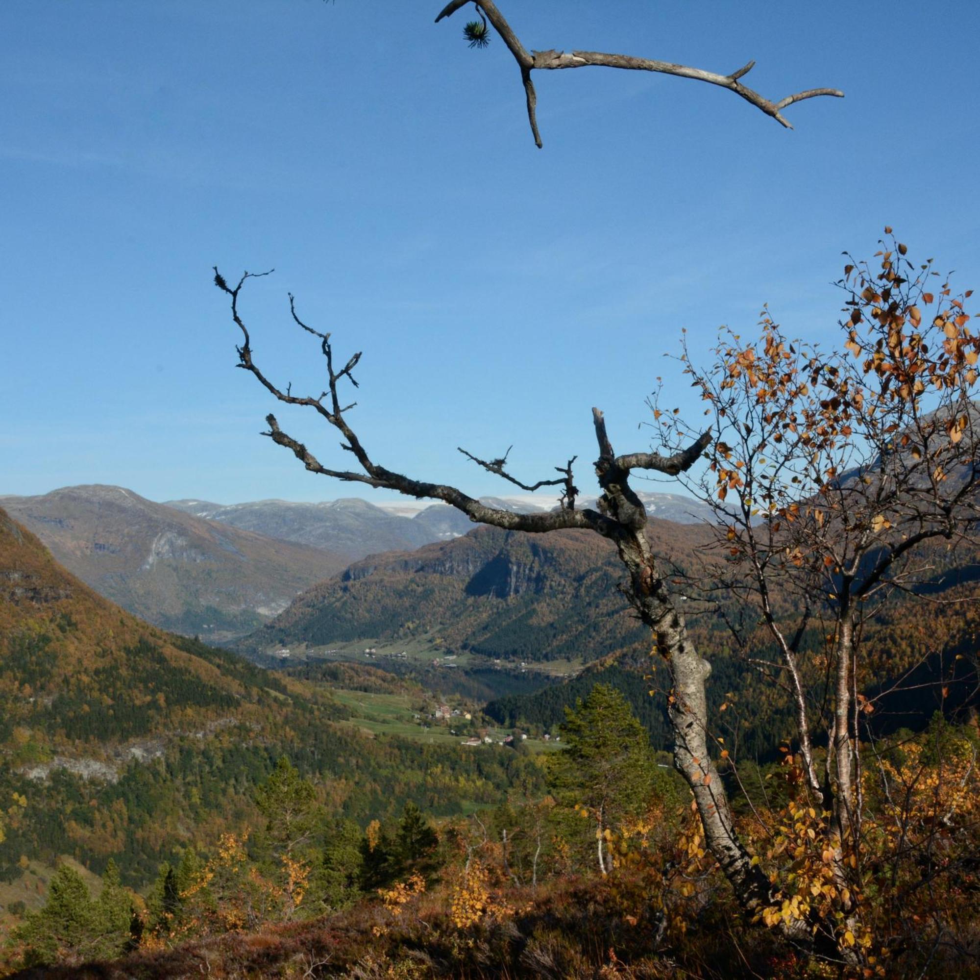 ホテル Tuftegarden Viksdalen エクステリア 写真