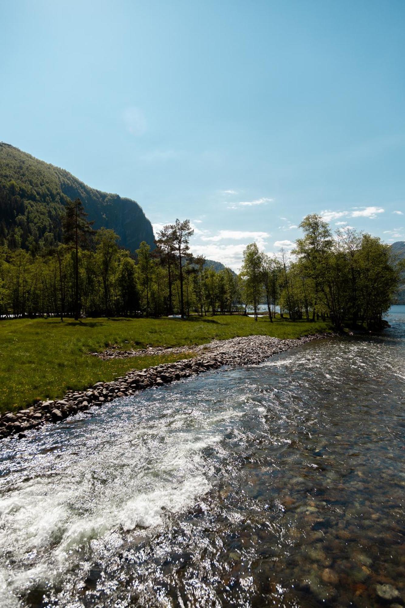 ホテル Tuftegarden Viksdalen エクステリア 写真