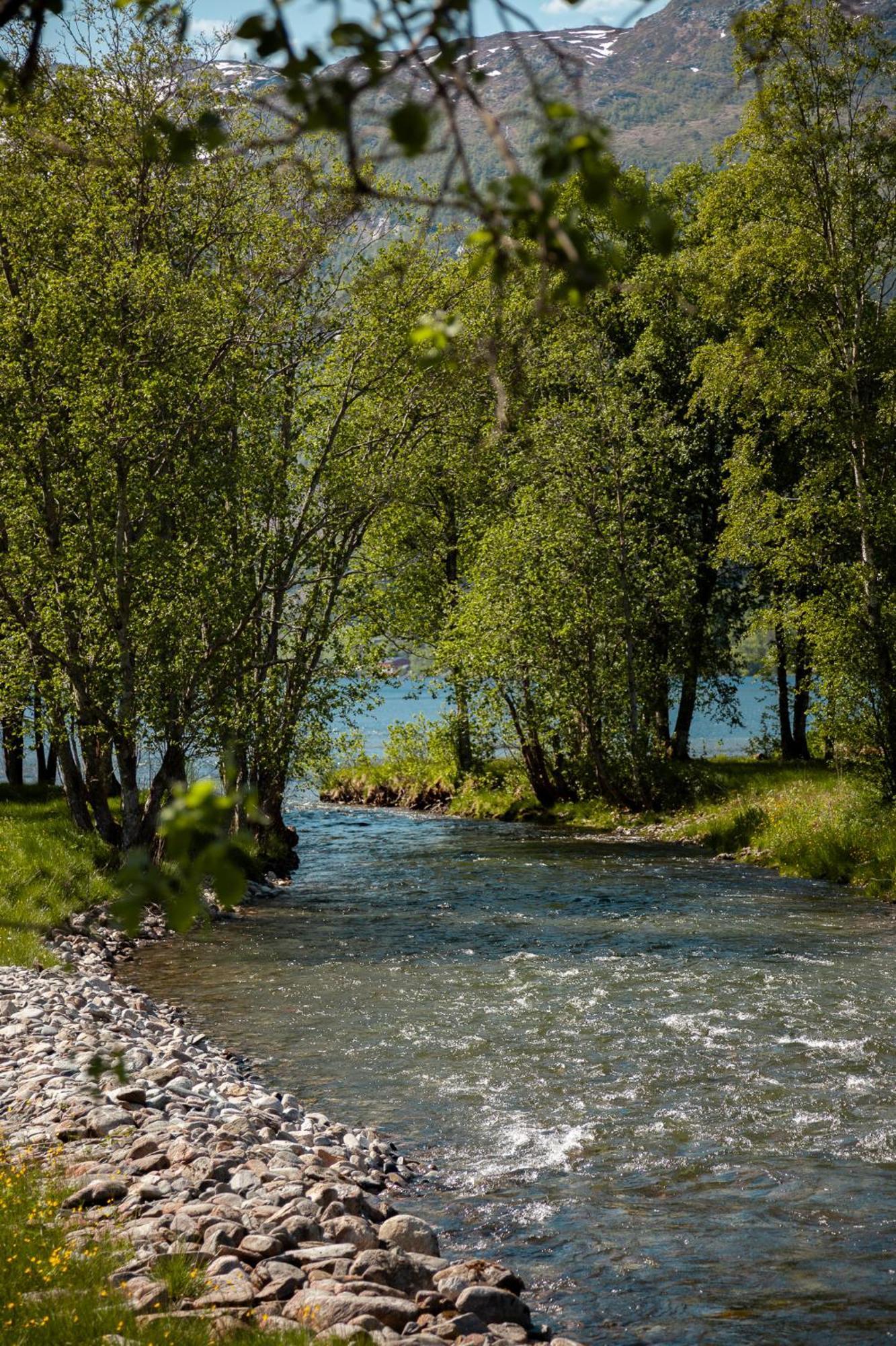 ホテル Tuftegarden Viksdalen エクステリア 写真