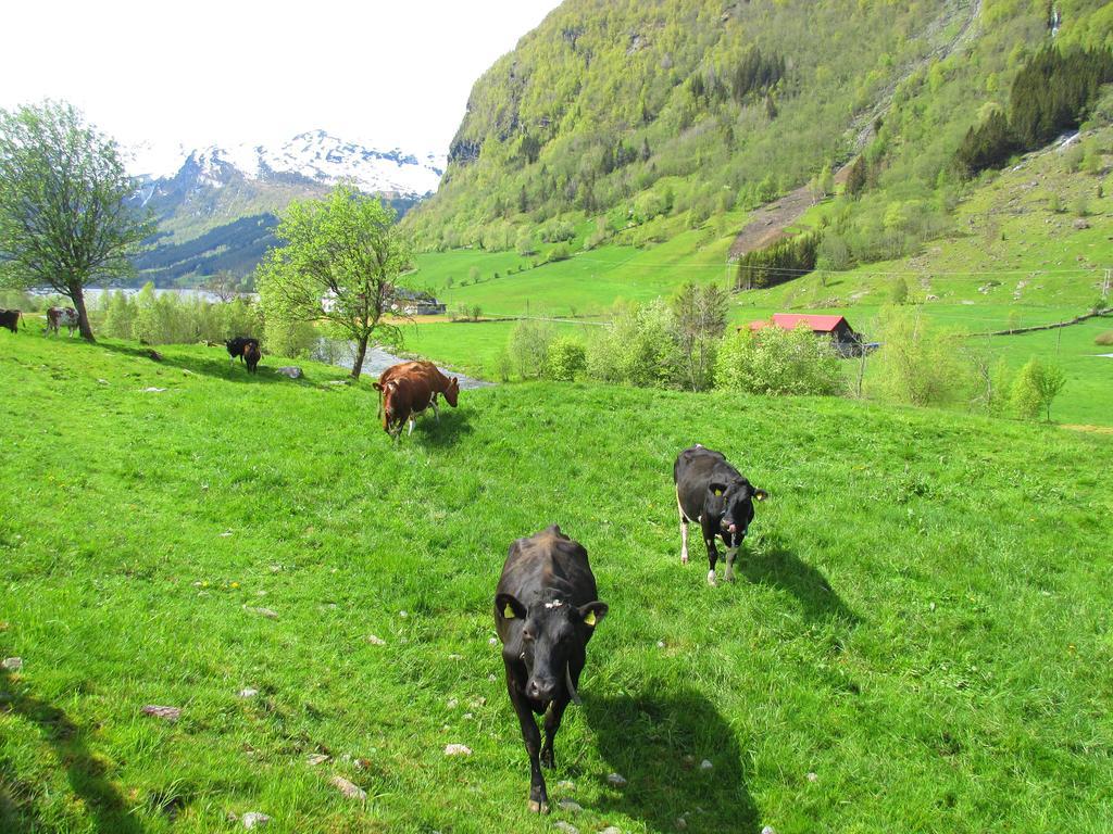 ホテル Tuftegarden Viksdalen エクステリア 写真